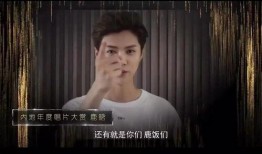 小佬爆料福子视频大全集,福子视频大全集精彩回顾